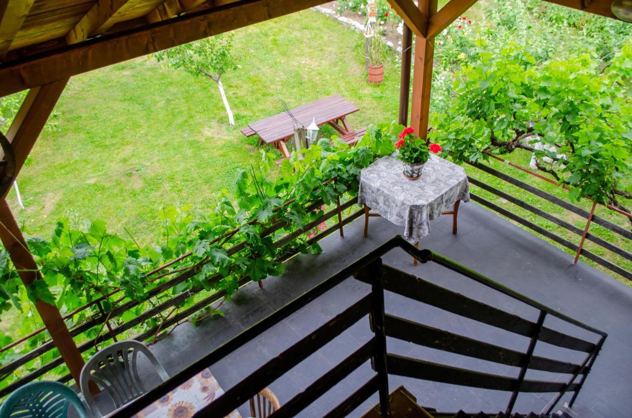 ספרבה בניה Danailovi Guest House מראה חיצוני תמונה