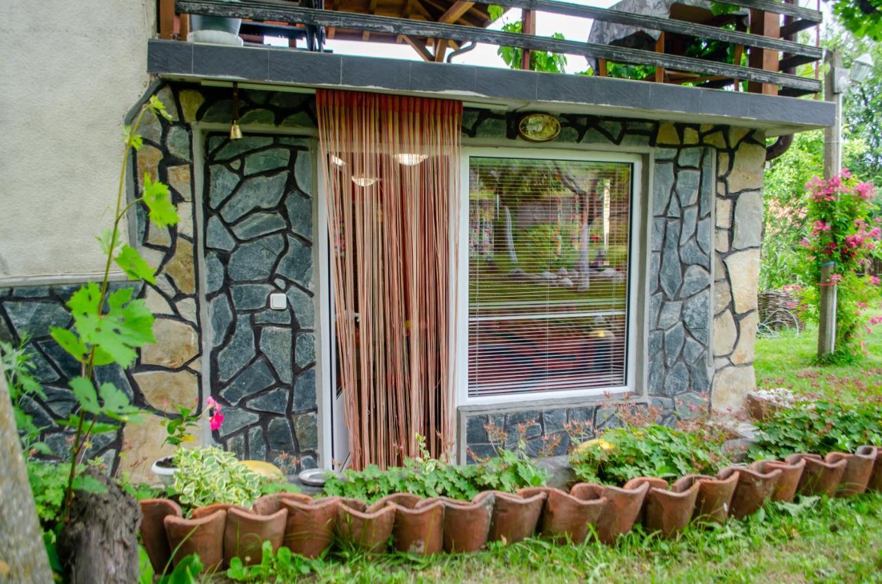 ספרבה בניה Danailovi Guest House מראה חיצוני תמונה